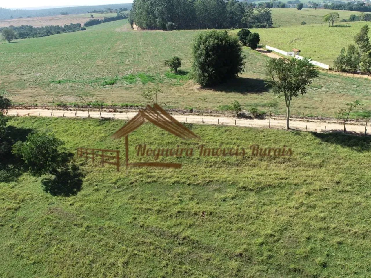 Fazenda com 53 alqueires para plantação de laranja - Foto 4
