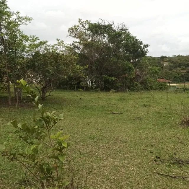 Terrenos - Foto 3
