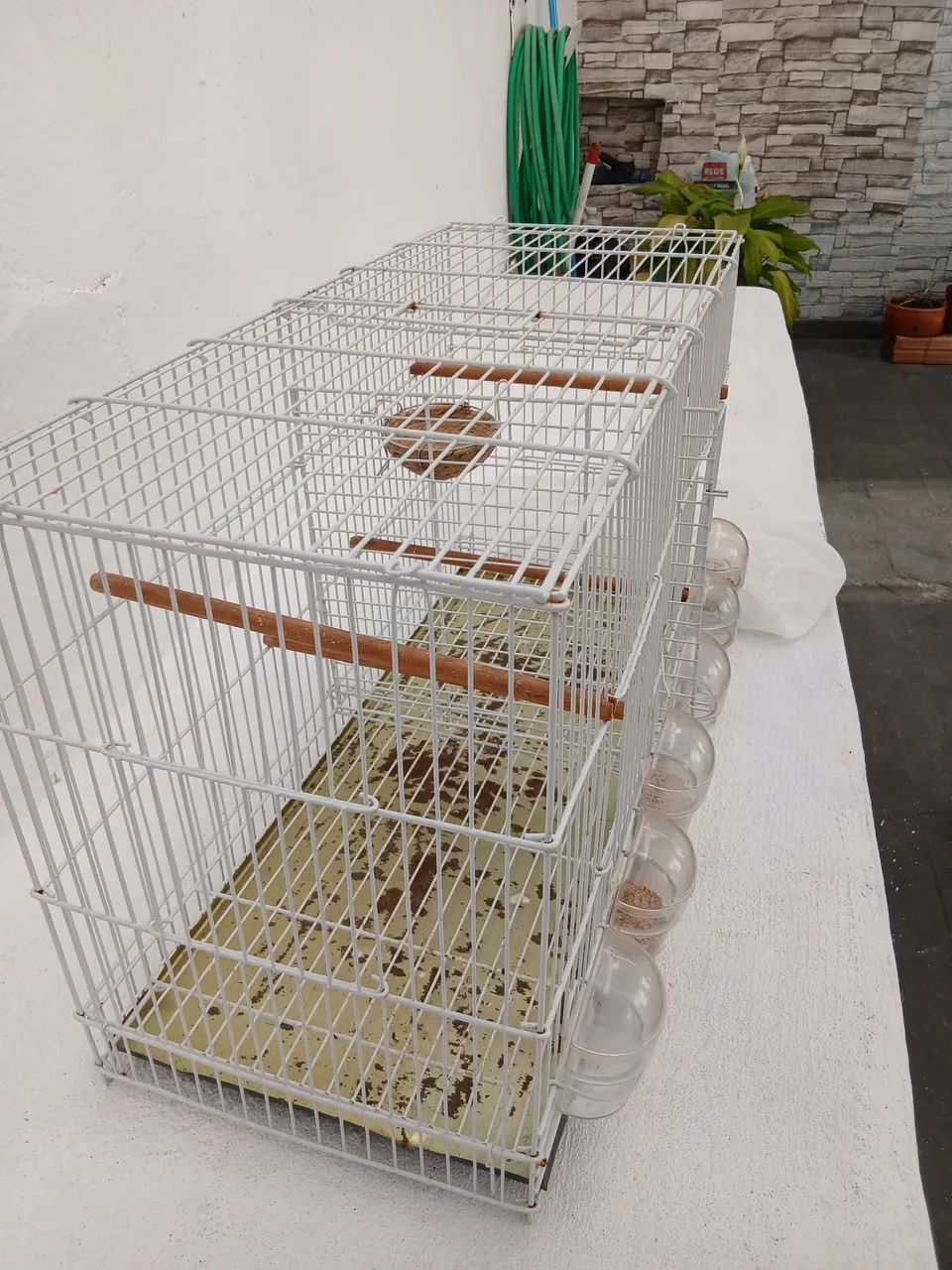 Gaiola  - Foto 3