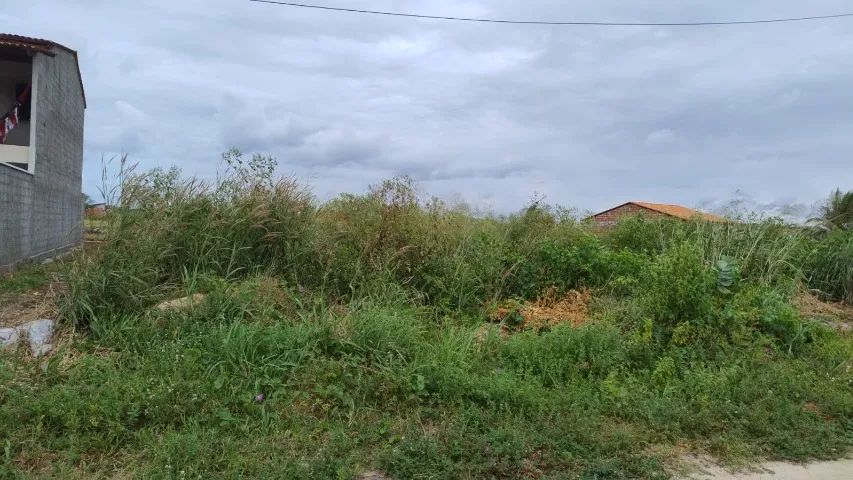 Terreno na praia Beberibe - Foto 2