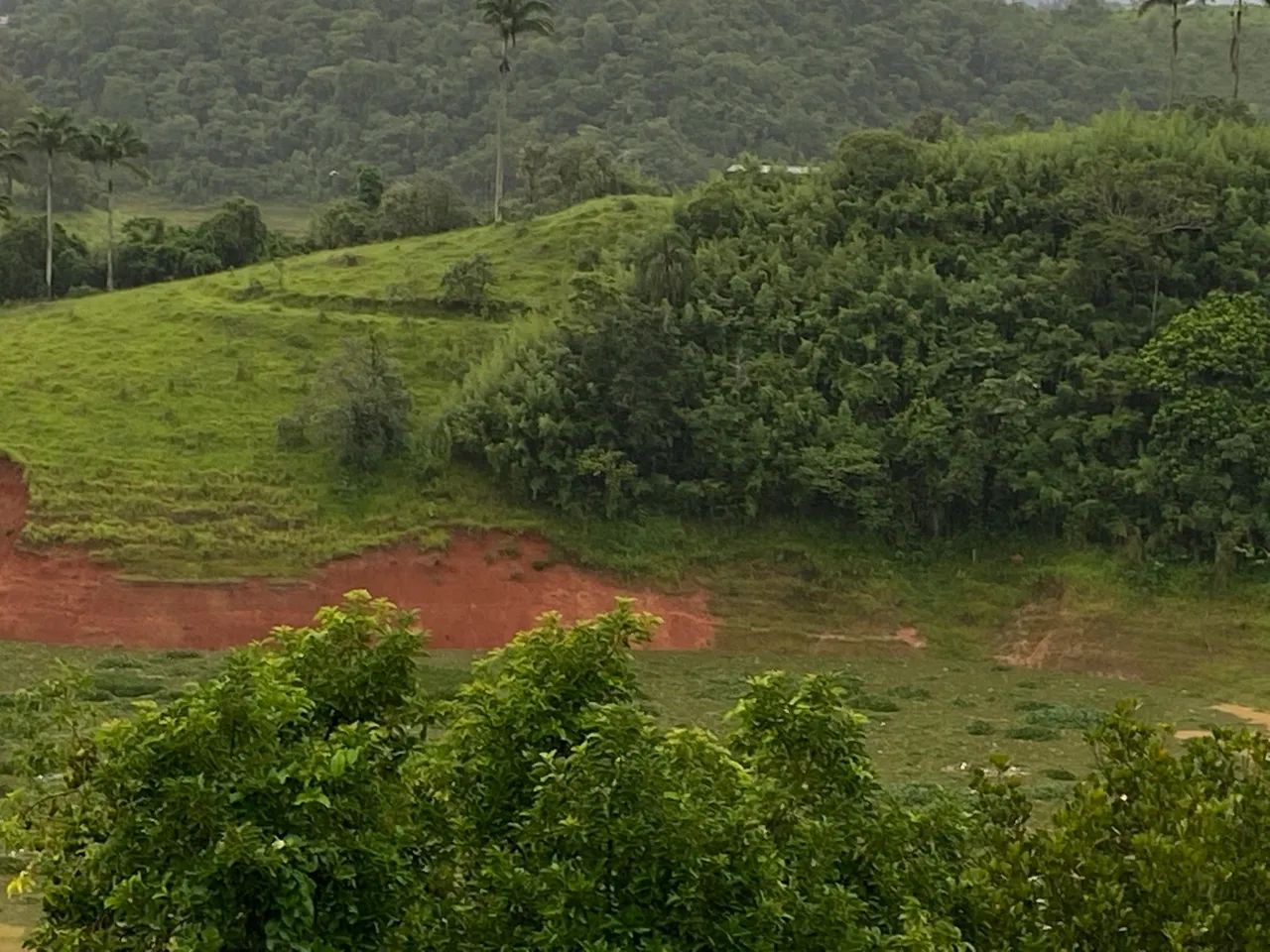 Chácara com acesso para a represa  - Foto 5