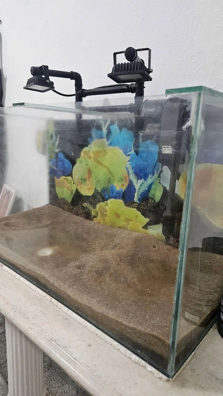 Aquário  - Foto 4