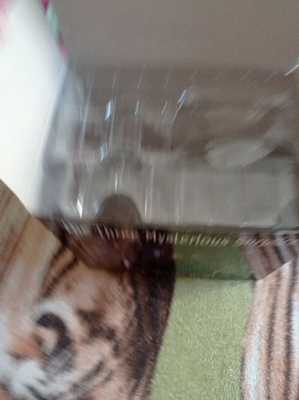Cloth Myth Caixa Surplice Mysterious - Foto 4
