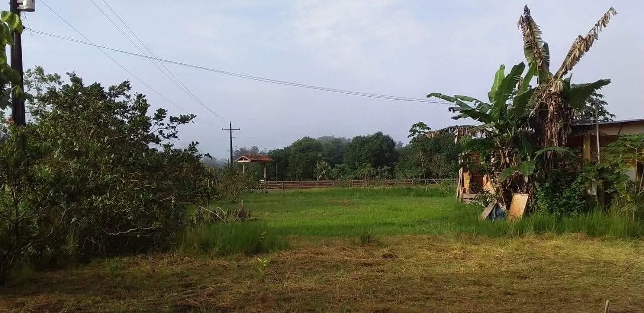 Terreno 350x80 - Foto 4