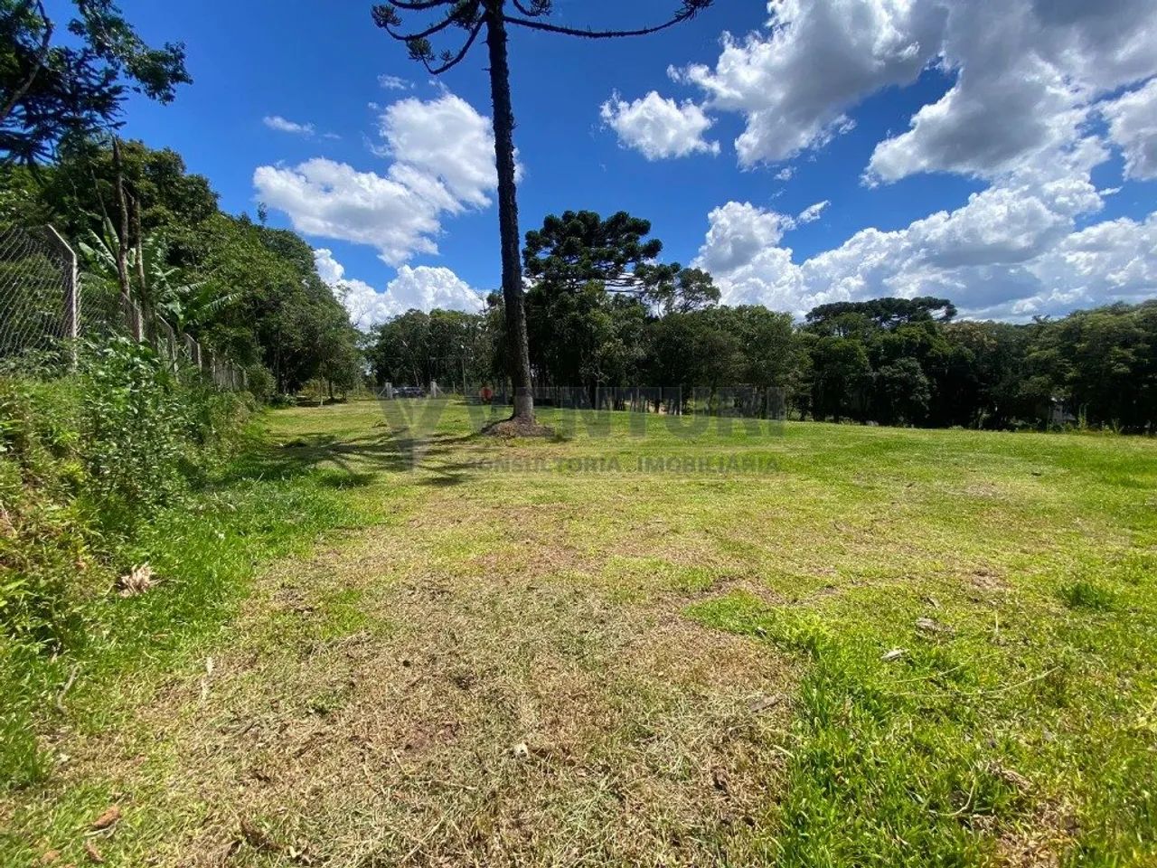 Lotes de terreno com 1.042m² - Estrada da Roseira - Foto 4