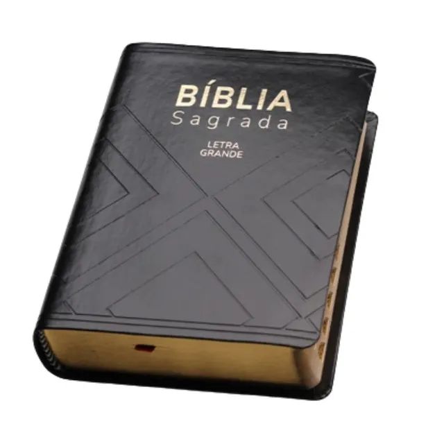 Bíblia Sagrada NAA Letra Grande Nova Almeida Atualizada - Preta -Capa Com detalhes Entrega