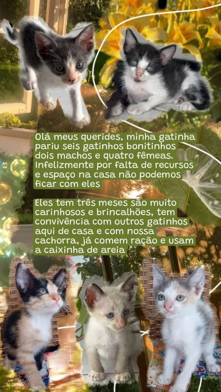 Doa-se.
