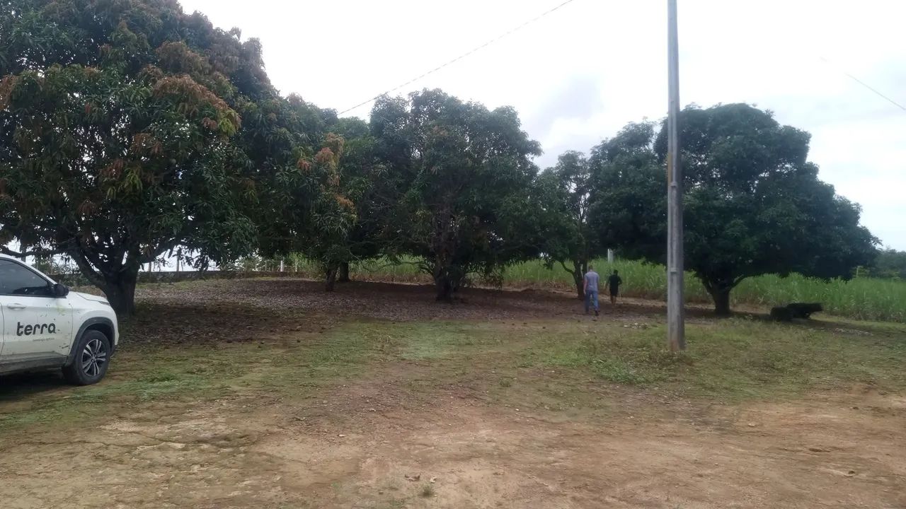 Vendo sítio em Chã de Alegria-PE - Foto 4