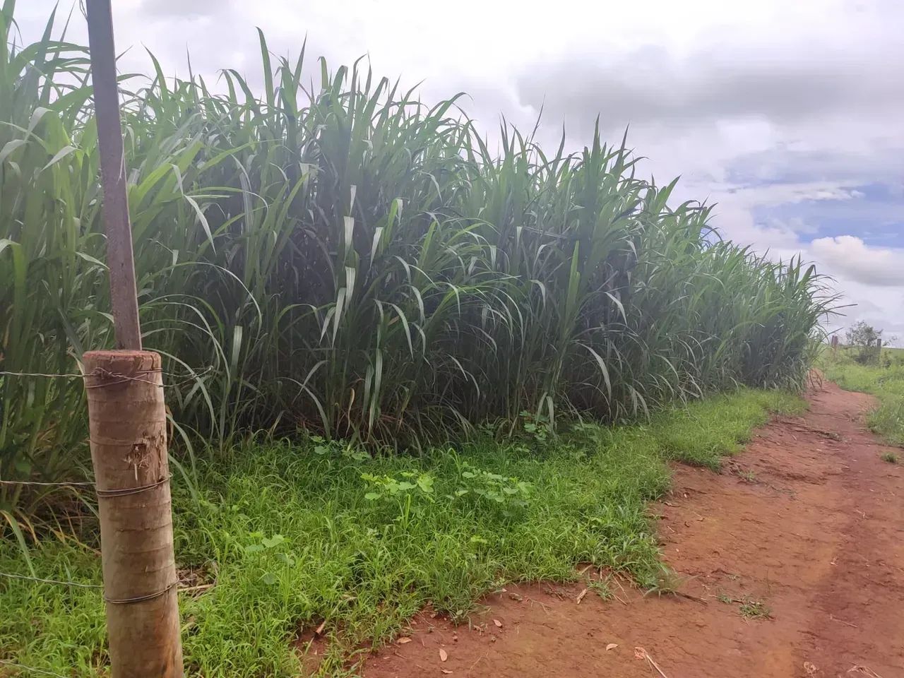 Chácara Itaguari Goiás - Foto 5