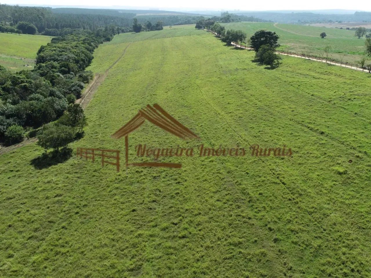 Fazenda com 53 alqueires para plantação de laranja