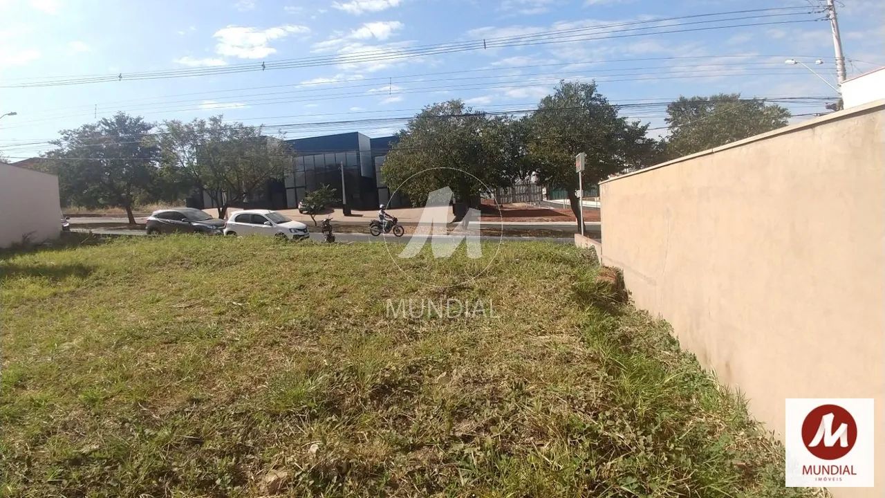 Terreno (terreno normal) - Foto 4
