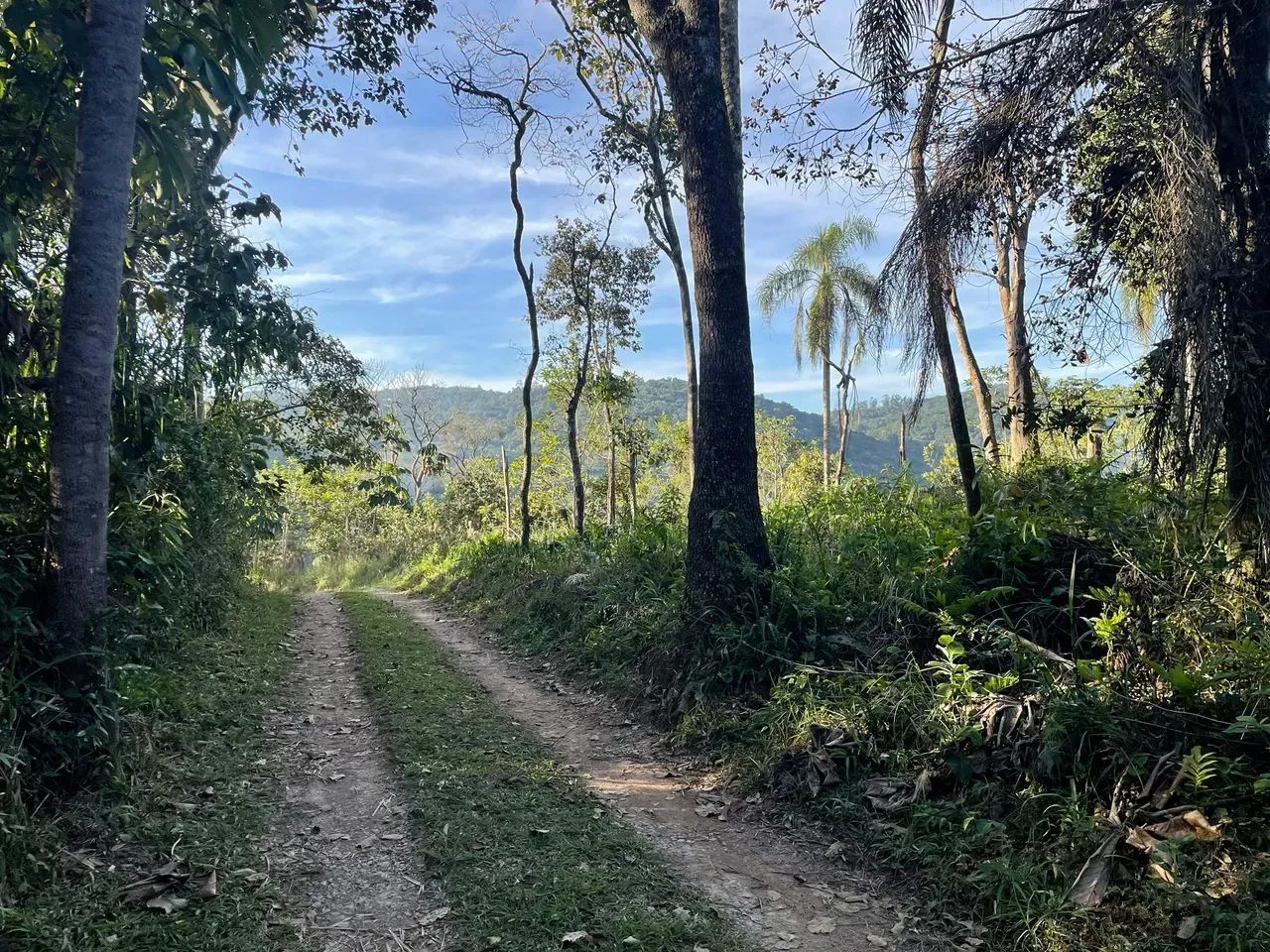 Terreno em declive Mairipora - 1200m - Foto 3