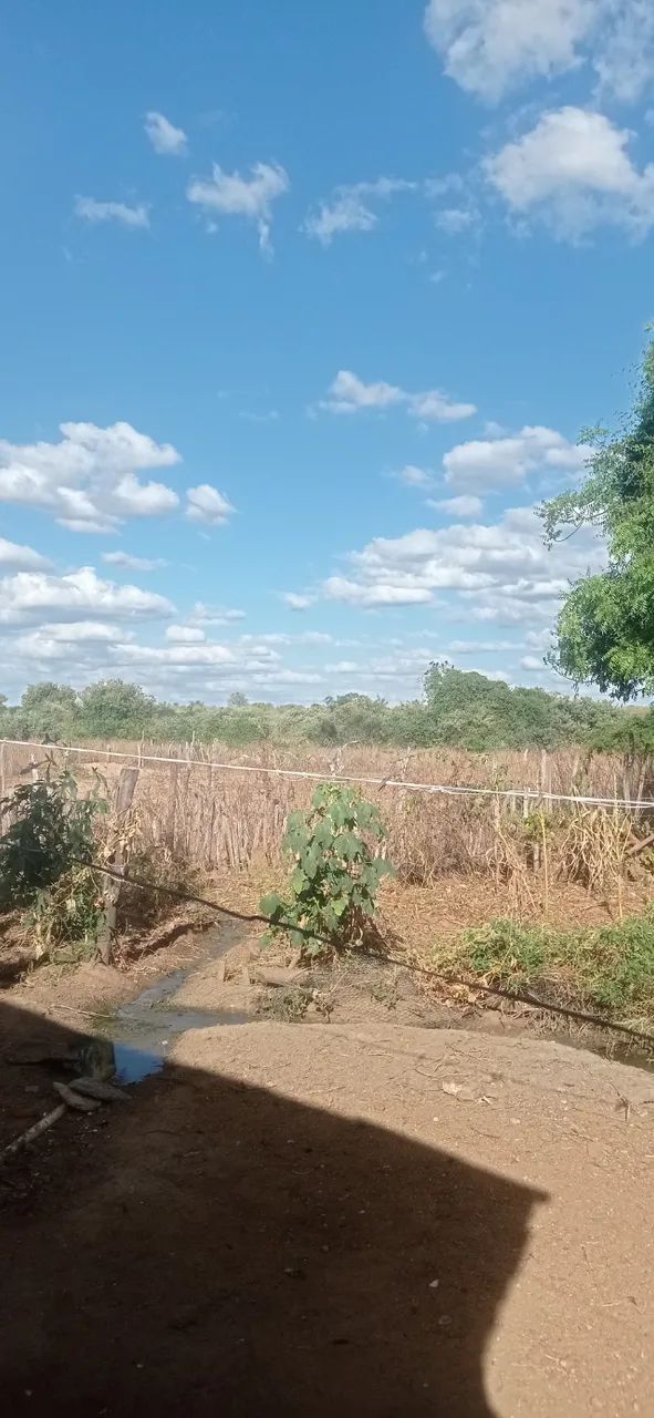 Terrenos 