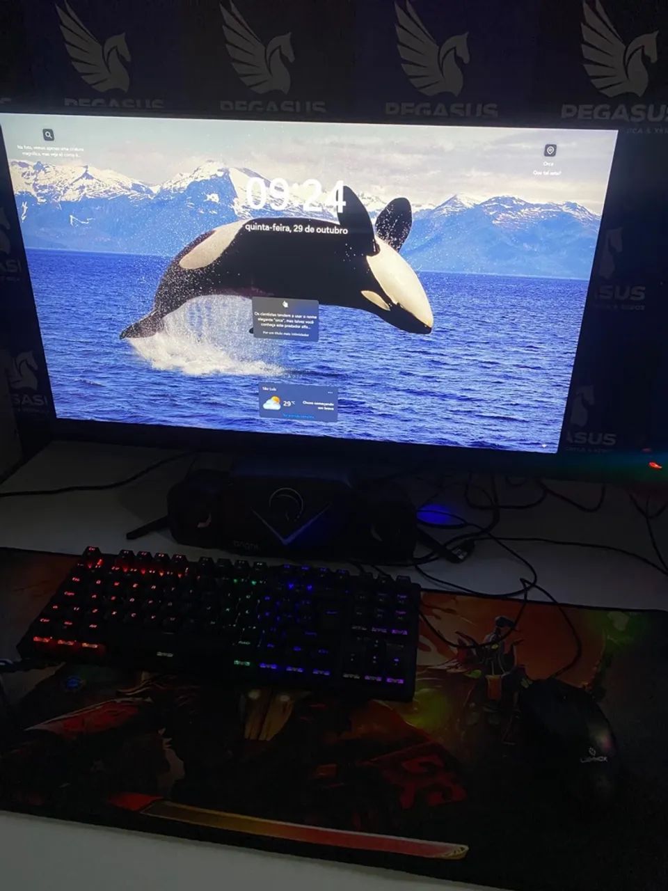 PC gamer