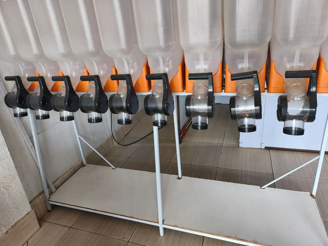 Expositor Dispenser de ração  - Foto 4