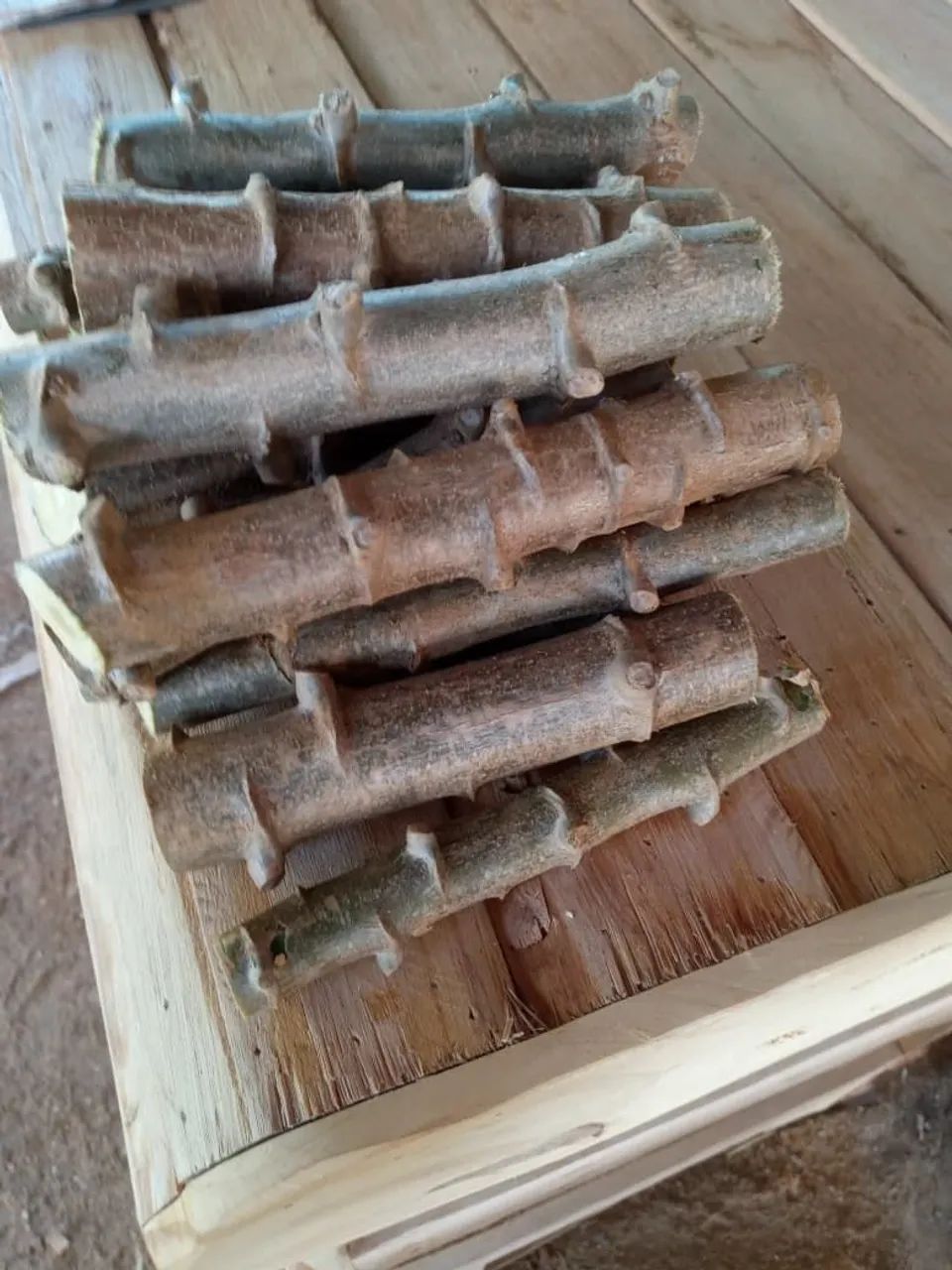MANIVA DE MANDIOCA - Foto 4