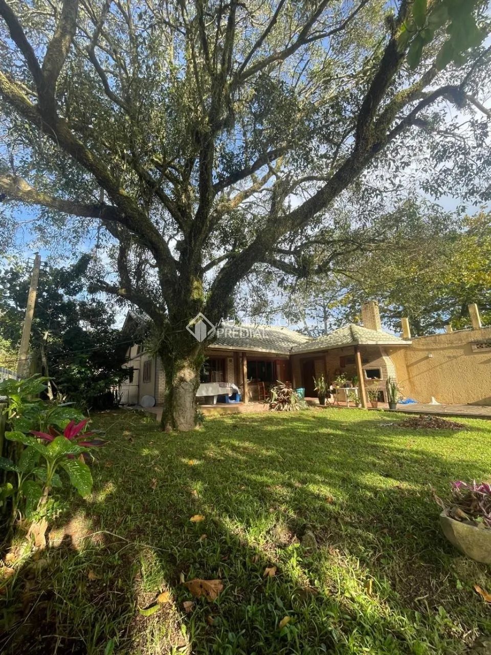 Casa à venda, 6quartos, 1 suítes, + 6 kitnets alugadas - Foto 5