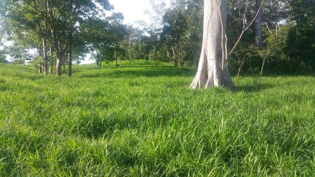 Fazenda 2085 ha Juara MT - Foto 15