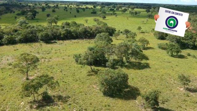 Fazenda 512 ha em livramento - Foto 8