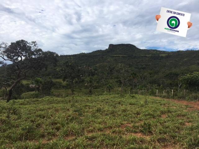 Fazenda 1600 ha no manso - Foto 5