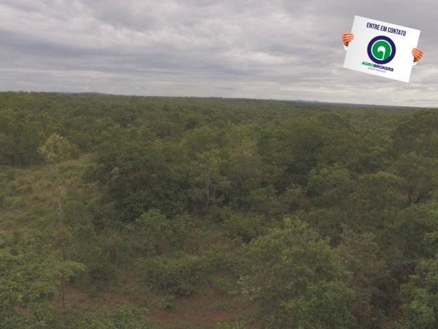 Fazenda 200 ha na beira do asfalto - Foto 2