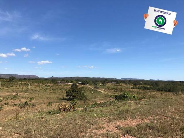 Fazenda 1000 ha no manso - Foto 2