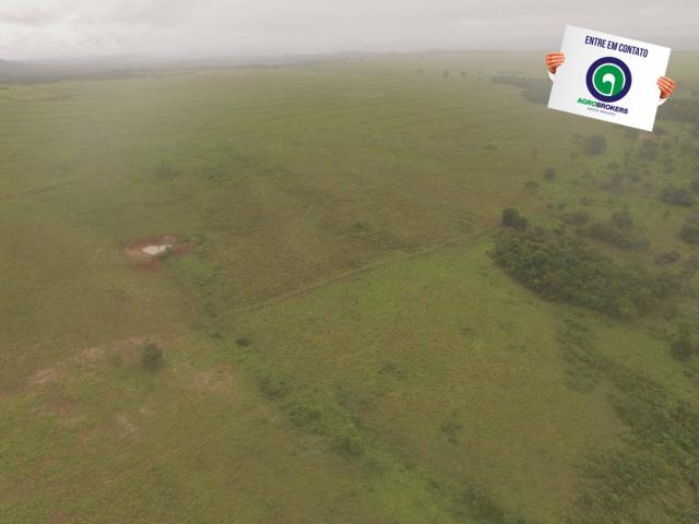 Fazenda 700 ha região do manso - Foto 13