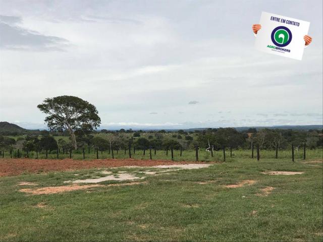 Fazenda em chapada dos guimarães - Foto 9