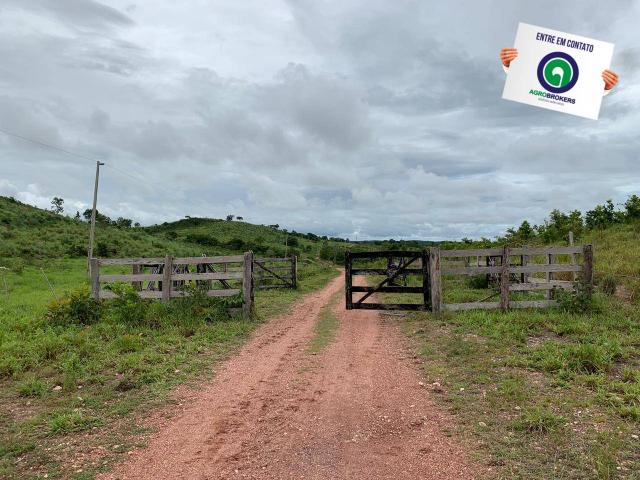 Fazenda 400 ha região de acorizal - Foto 6