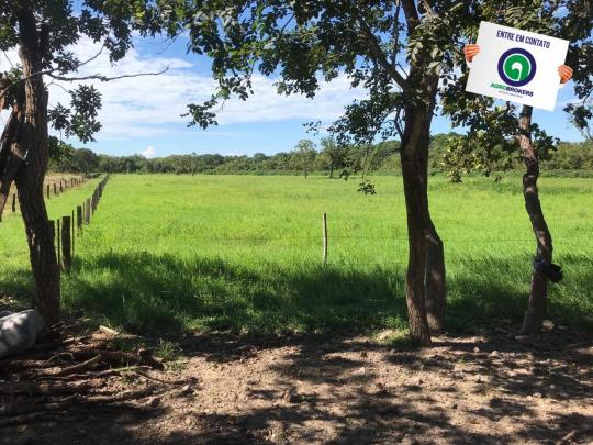 Sítio 28,7 ha no cinturão verde - Foto 4