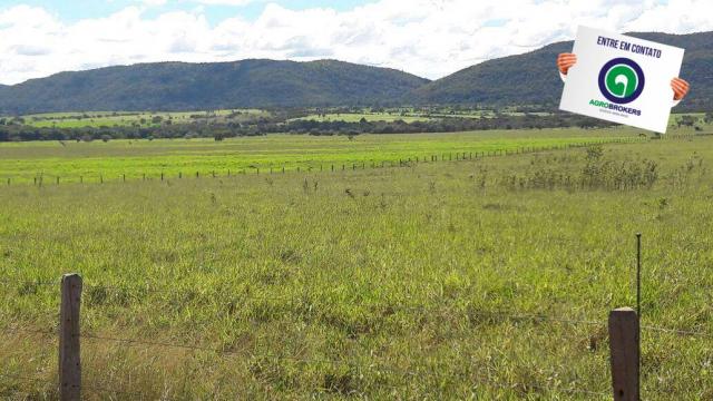 Fazenda 1.650 ha sentido caceres - Foto 7