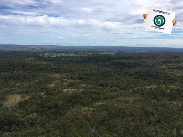 Fazenda 1600 ha no manso - Foto 7