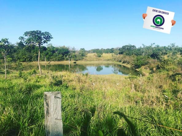 Fazenda 450ha beira do asfalto - Foto 3