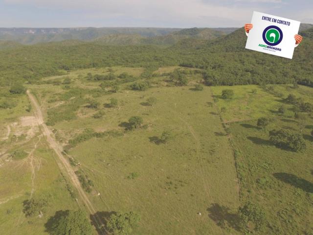 Fazenda 1000 ha região do olho d´água - Foto 3