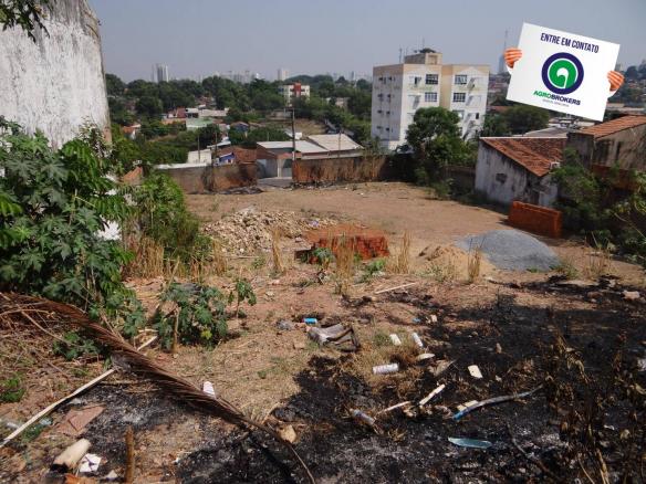 Terreno pico do amor - Foto 6