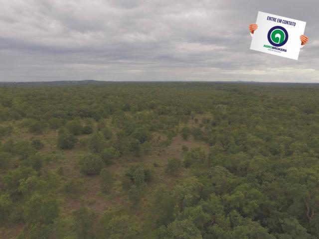 Fazenda 200 ha na beira do asfalto - Foto 5