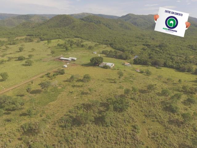 Fazenda 1000 ha região do olho d´água - Foto 8