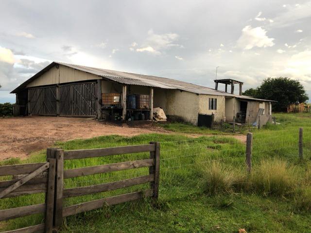 Nova Taquari MT Fazenda a 60 km da cidade com 2.480 hectares em pasto - Foto 5