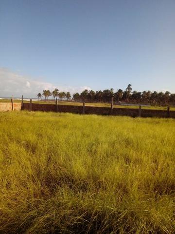Terreno à beira mar 500m2 - Foto 7