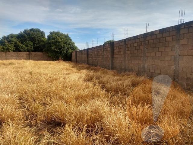 Terreno em Franca-Pq das Árvores - Foto 2