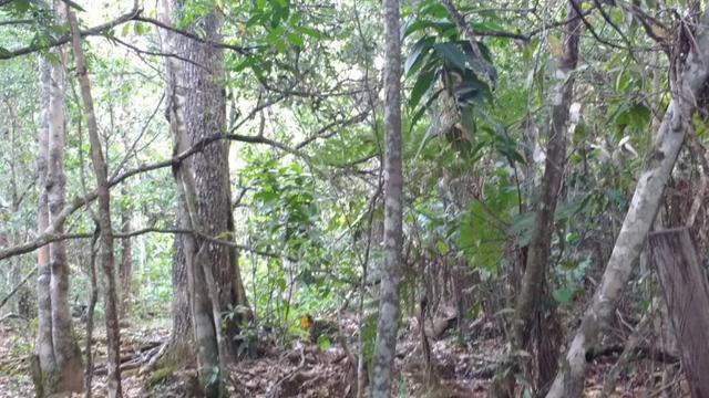 Chácaras em Águas Lindas de 5 mil a 20 mil m² - Foto 4