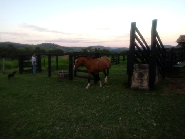 Fazenda em Unaí - MG