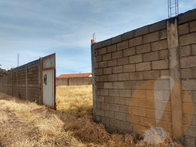 Terreno em Franca-Pq das Árvores - Foto 4