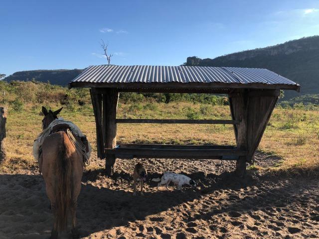 Nova Taquari MT Fazenda a 60 km da cidade com 2.480 hectares em pasto