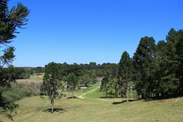 Chácara Araucária, 284.000m², tanques, nascente - Foto 11