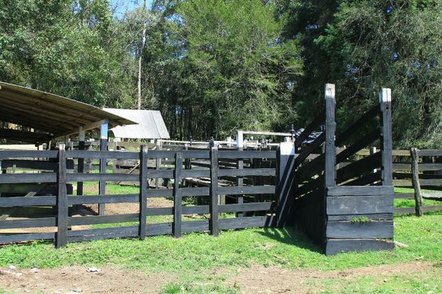 Chácara Araucária, 284.000m², tanques, nascente - Foto 14