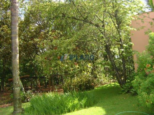 Chácara à venda em Vila pinhal broa, Itirapina cod:4319 - Foto 5