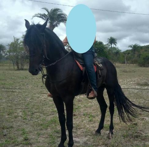 Cobertura - Baruch de Águas de Lindoia - Foto 3