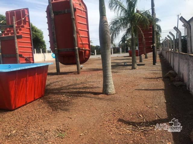 8046 | terreno à venda em zona 11a, cianorte - Foto 4