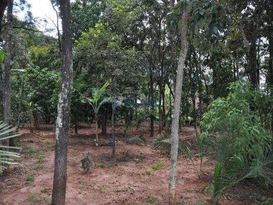 Chácara à venda em Vila pinhal broa, Itirapina cod:4319 - Foto 15